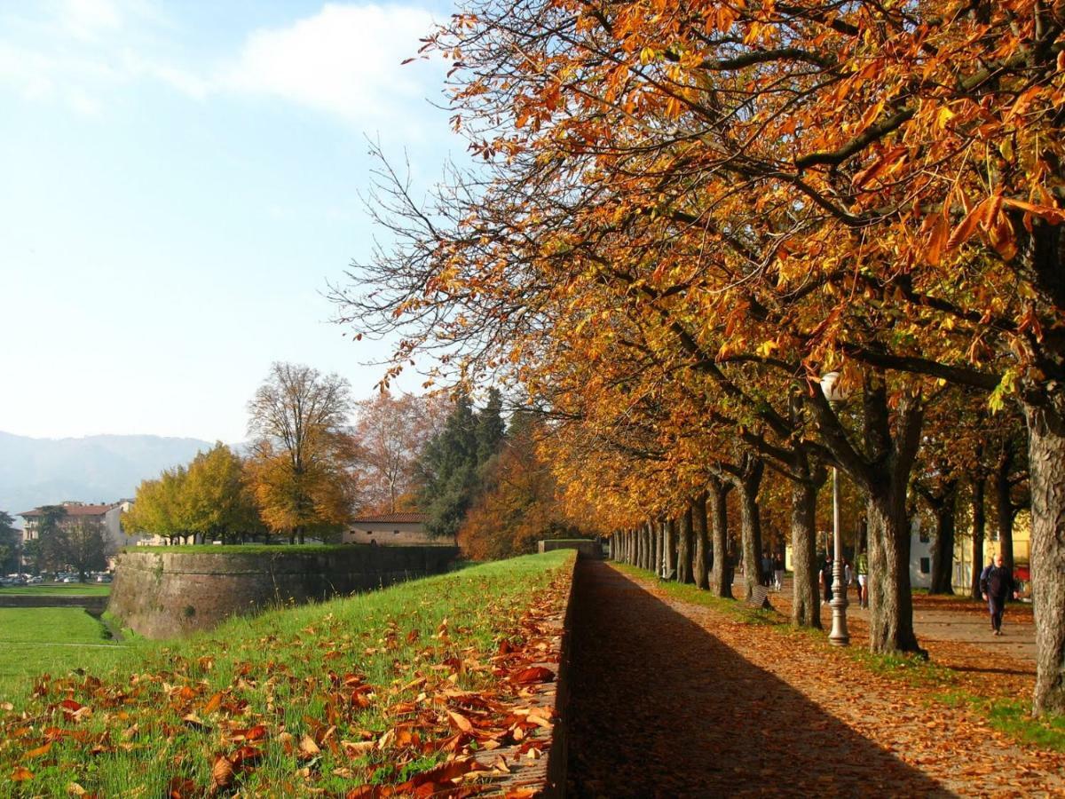 Villa Grespola ลุคคา ภายนอก รูปภาพ